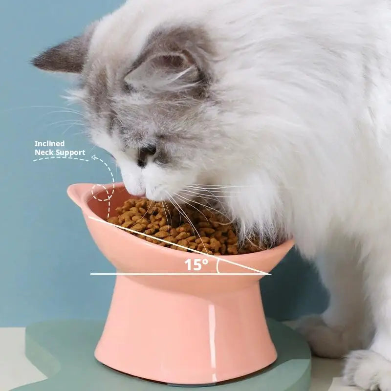 Tilted Elevated Cat Bowl | Whisker-Friendly Pet Feeder Elevated Pet Bowl Richie's