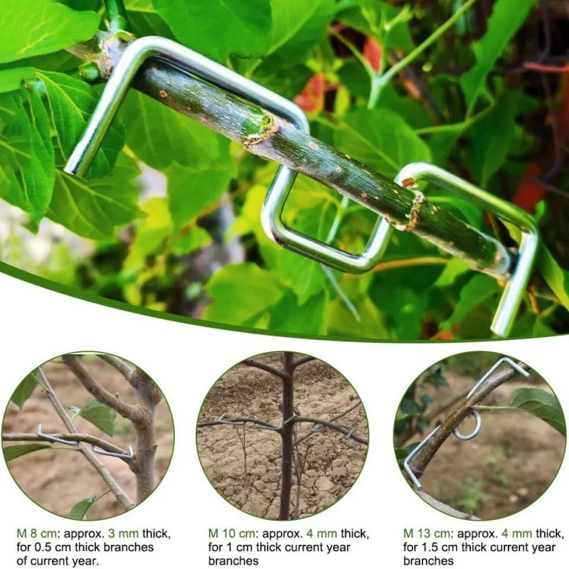 M-Shape Branch Limb Spreader – Fruit Tree Support Fixator Branch Limb Spreader Richie's
