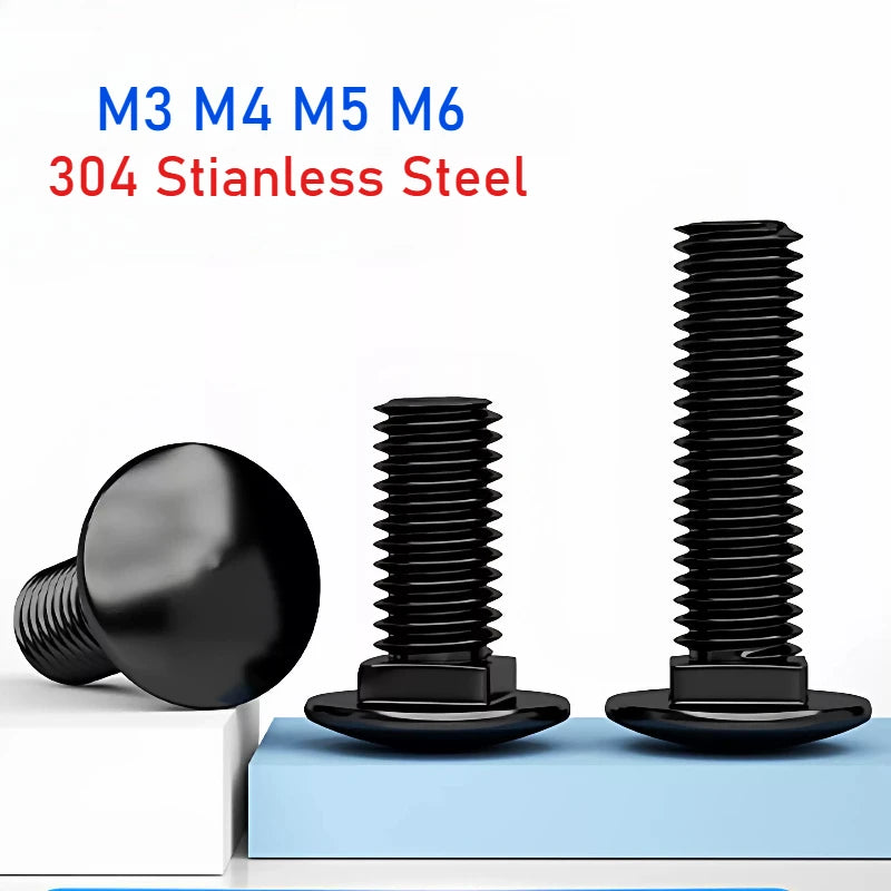M3–M6 Black 304 Stainless Steel Carriage Bolts 8–100mm Carriage Bolts Richie's M6x20mm(20pcs)