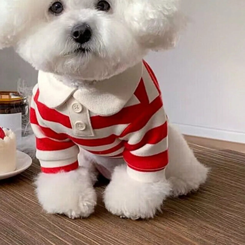 Soft Breathable Dog Shirt for Small Dogs – S to XL Dog Shirt Richie's