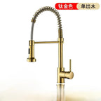 Pull-Out Spring Kitchen Faucet 304 Stainless Steel Hot & Cold Kitchen Faucet Richie's gold