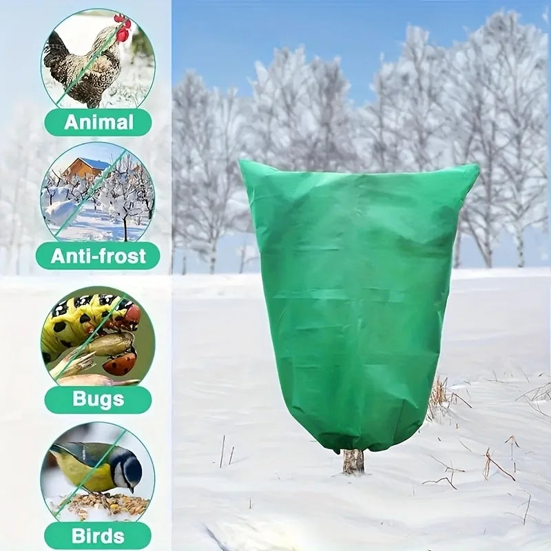 Plant Frost Protection Bags – Tree & Shrub Winter Covers Plant Frost Cover Richie's
