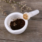 White Ceramic Mortar & Pestle Set | Porcelain Spice Grinder Mortar & Pestle Set Richie's