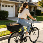 Enclosed Carbon Steel Bike Rear Basket – Pet & Cargo Carrier Rear Bike Basket Richie's
