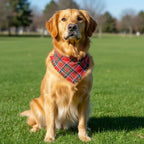 Plaid Dog Bandana with Tassels – Soft Washable Pet Scarf Dog Bandana Scarf Richie's