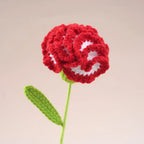 Handmade Crochet Carnation Bouquet – Colorful Knit Wool Flowers Crochet Flower Bouquet Richie's Gradient Red