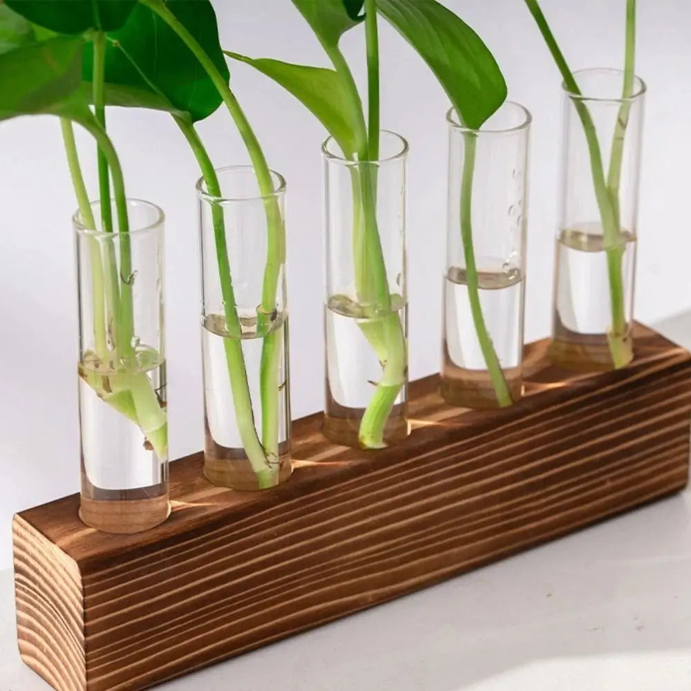 Wooden Stand Hydroponic Vase – Test Tube Minimalist Planter Hydroponic Vase Richie's