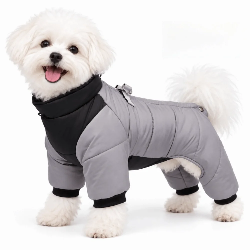 Waterproof Dog Winter Jumpsuit Coat – Small & Medium Dogs Dog Winter Coat Richie's