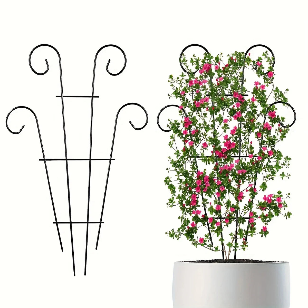 Iron Plant Climbing Support Frame – Tomato & Flower Trellis Plant Support Frame Richie's