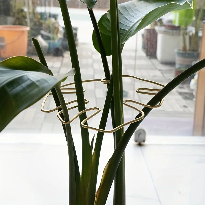 Large Iron Hanging Plant Stand Hook – Indoor & Outdoor Use Hanging Plant Stand Richie's
