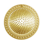 Stainless Steel Floor Drain Cover with Hair Filter Floor Drain Cover Richie's Gold