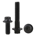 Grade 12.9 Carbon Steel Flange Torx Bolts M5 M6 Hex Screws Flange Torx Bolt Richie's