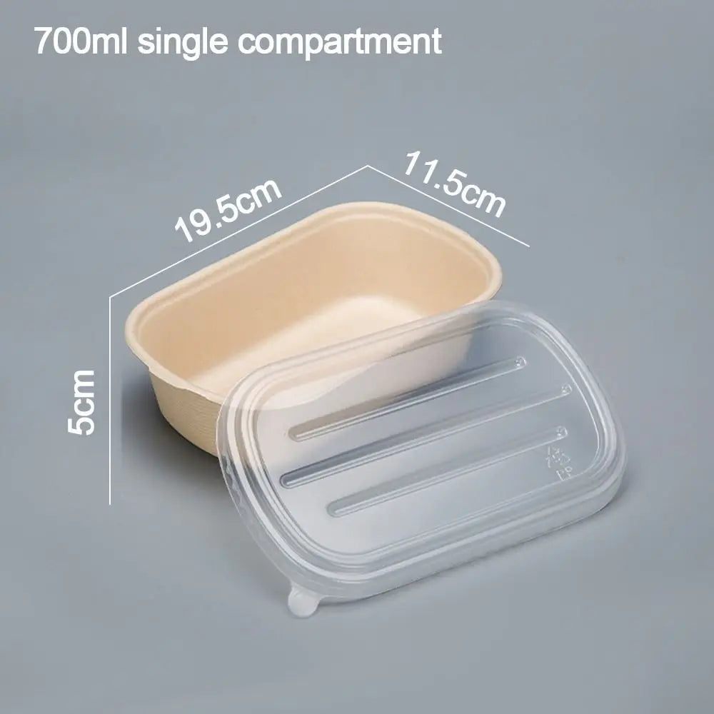 Eco-Friendly Disposable Paper Lunch Box 500–1000ml Takeout Disposable Food Container Richie's