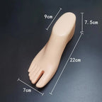 Female Plastic Mannequin Foot Model Pair – Shoe & Sock Display Mannequin Foot Display Richie's