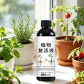 Concentrated Liquid Plant Fertilizer 100ml – Promotes Growth Liquid Plant Fertilizer Richie's Default Title
