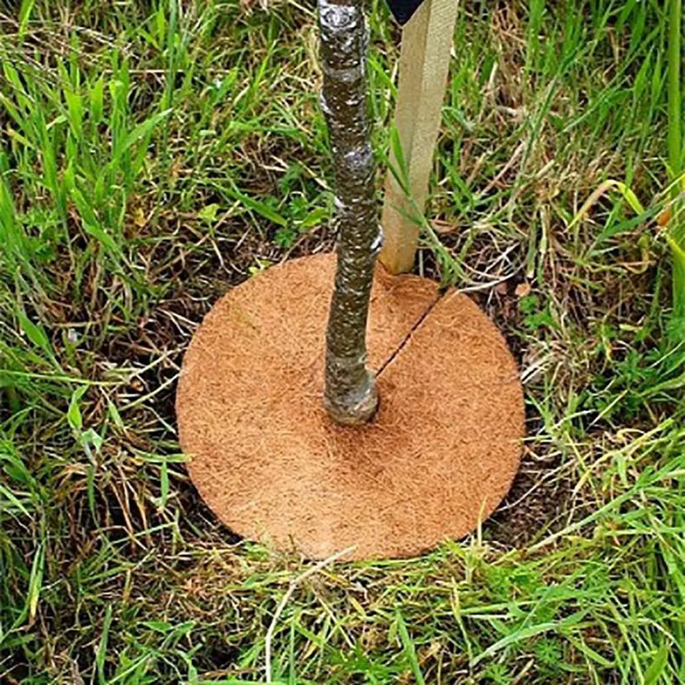 Natural Coconut Fiber Flower Pot Mat – Weed Barrier Disc 5 Sizes Garden Mulch Mat Richie's