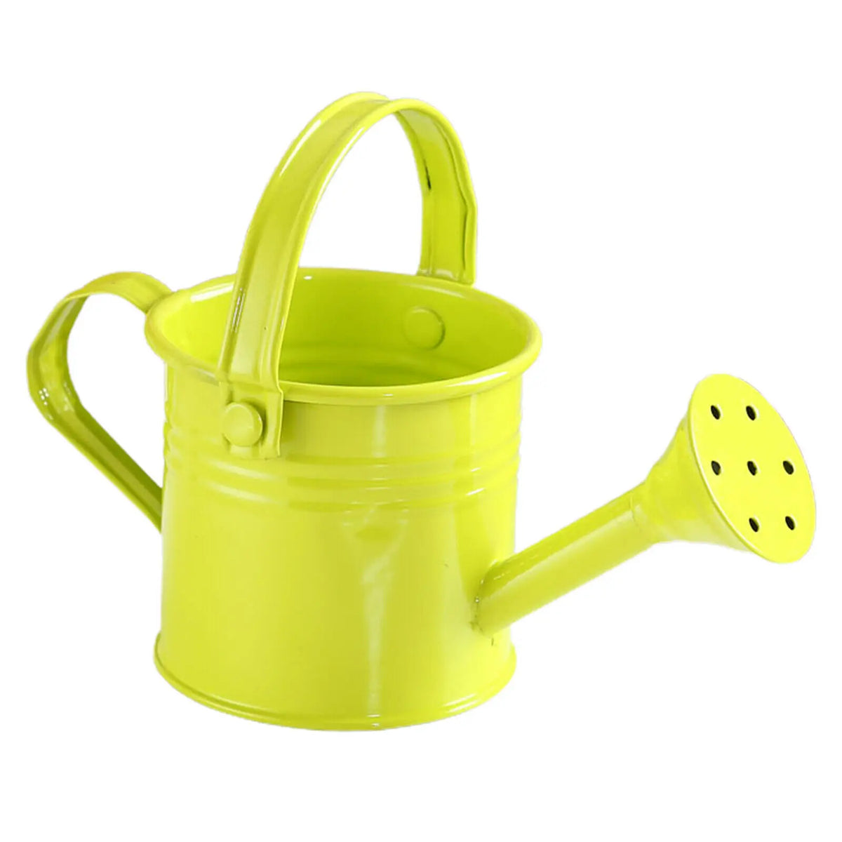 Kawaii Vintage Metal Watering Can – Flower Kettle Pot Metal Watering Can Richie's light green
