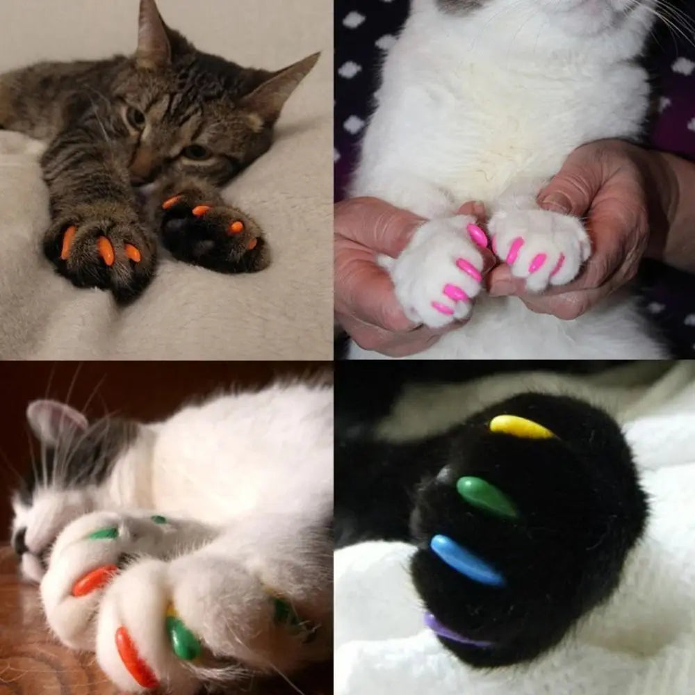 Silicone Cat Nail Caps – Soft Colorful Claw Covers 20 Pack Cat Nail Caps Richie's