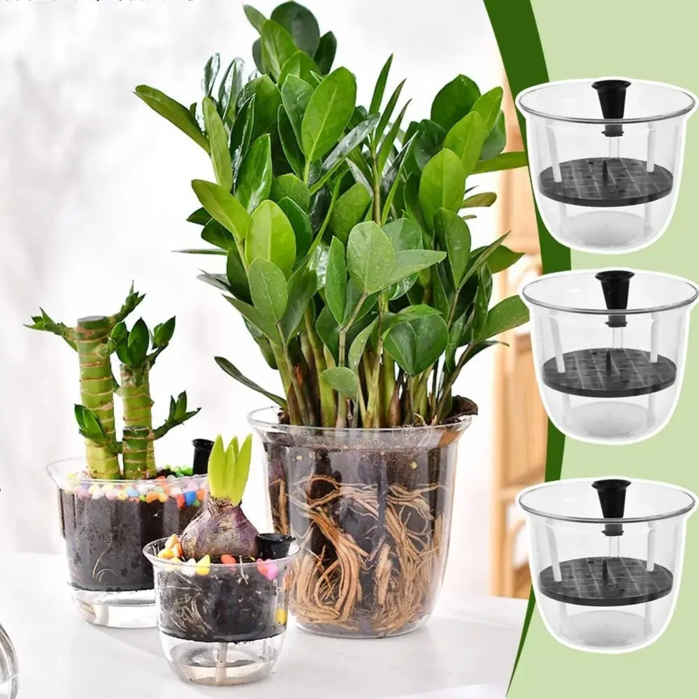 Transparent Self-Watering Plant Pot – Double Layer Planter Self-Watering Planter Richie's