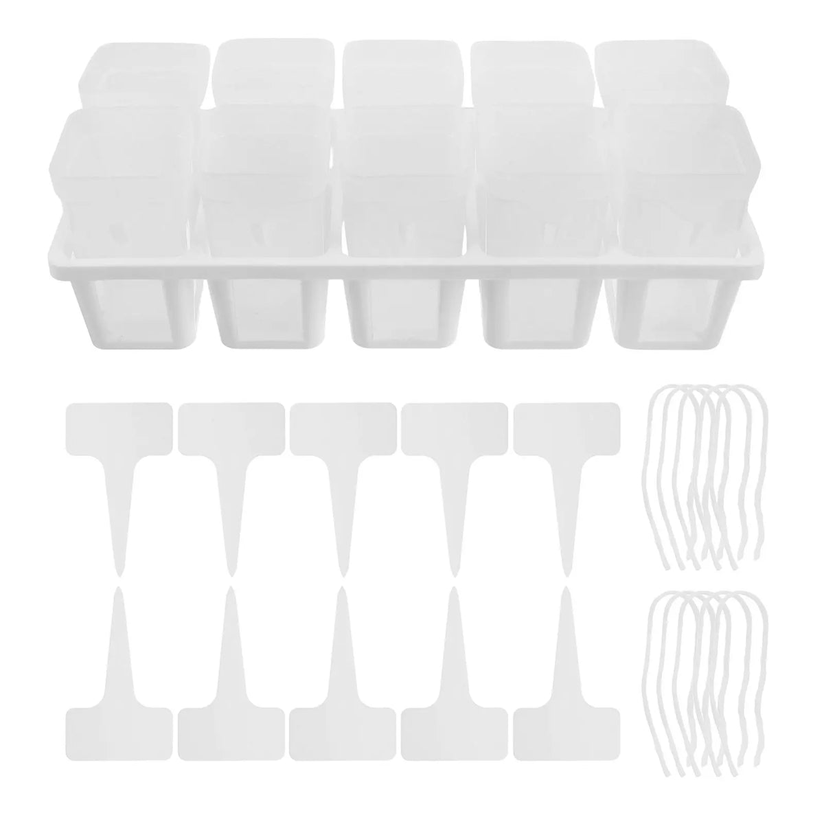 Self-Watering Succulent Propagation Planter Set | 10 Cups Self-Watering Planter Set Richie's