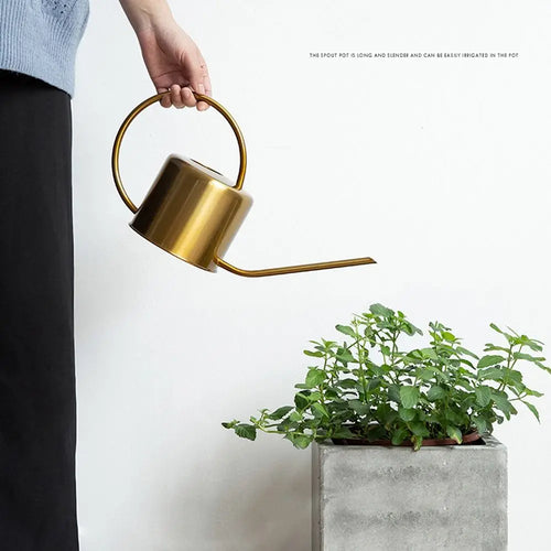 1.3L Stainless Steel Watering Can – Long Spout Garden Kettle Garden Watering Can Richie's