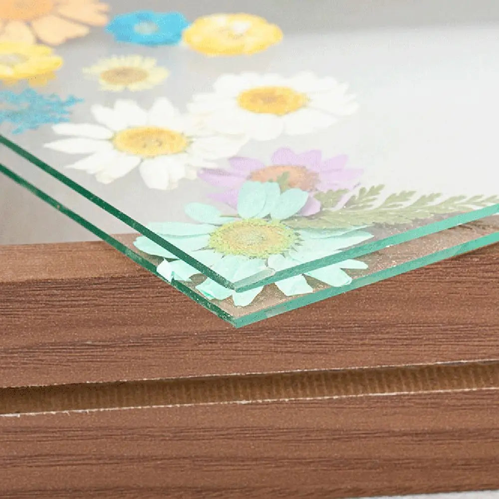 Wooden Glass Leaf Specimen Frame – Double-Sided Display Specimen Display Frame Richie's