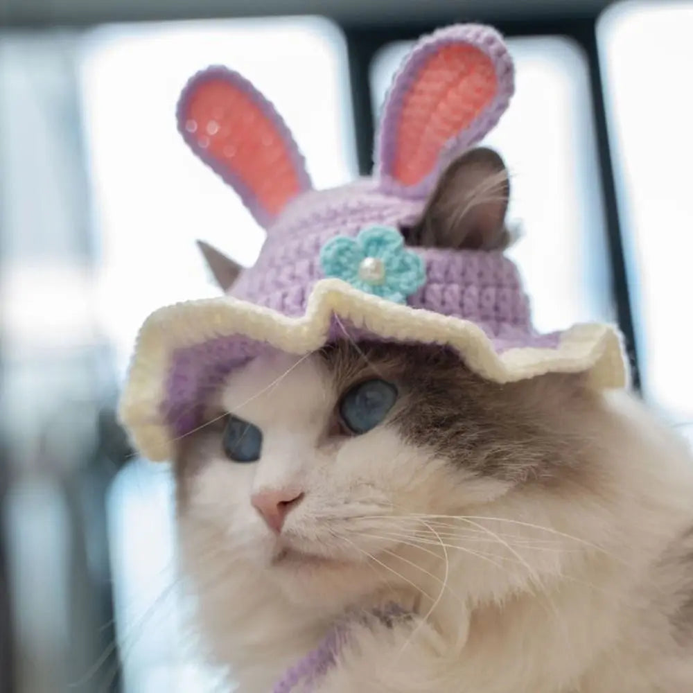Handmade Funny Cat Hat – Pet Cosplay Party Photo Shoot Prop Pet Costume Hat Richie's