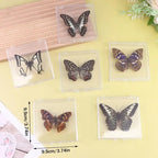 Butterfly Insect Specimen Resin Decor | Unique Gift for Girls Decorative Specimen Richie's