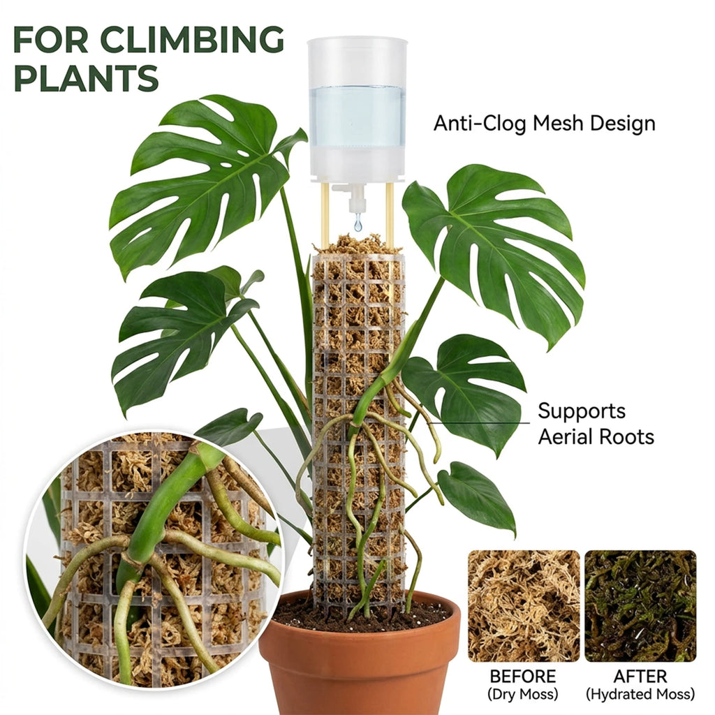 Moss Pole Watering Dripper – Auto Drip Kit for Monstera Plant Watering Dripper Richie's