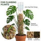 Moss Pole Watering Dripper – Auto Drip Kit for Monstera Plant Watering Dripper Richie's
