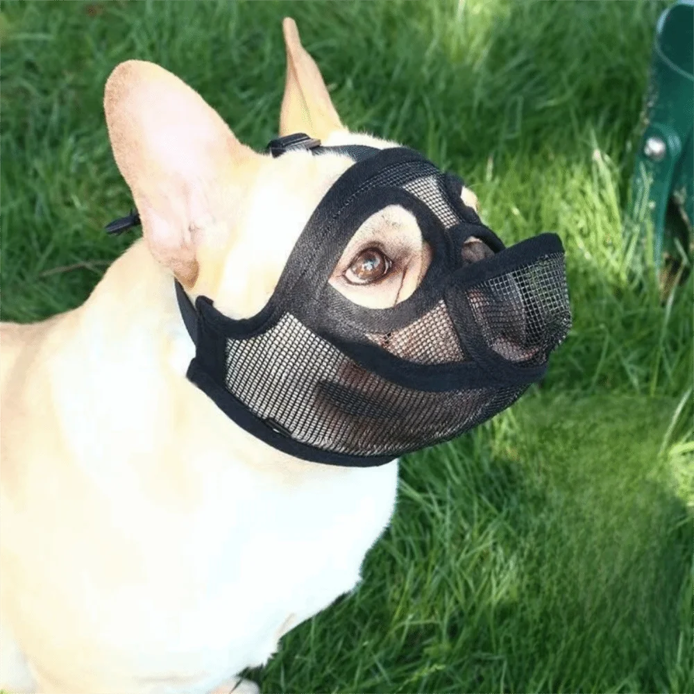 Adjustable Breathable Dog Muzzle for French Bulldogs & Short Snouts Dog Muzzle Richie's