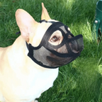 Adjustable Breathable Dog Muzzle for French Bulldogs & Short Snouts Dog Muzzle Richie's