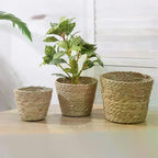Handwoven Straw Flower Pot Basket – Eco Home Decor Planter Woven Planter Basket Richie's