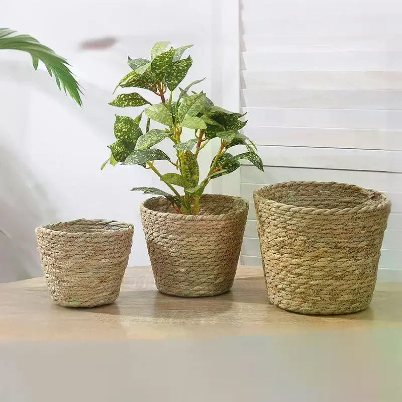 Handwoven Straw Flower Pot Basket – Eco Home Decor Planter Woven Planter Basket Richie's