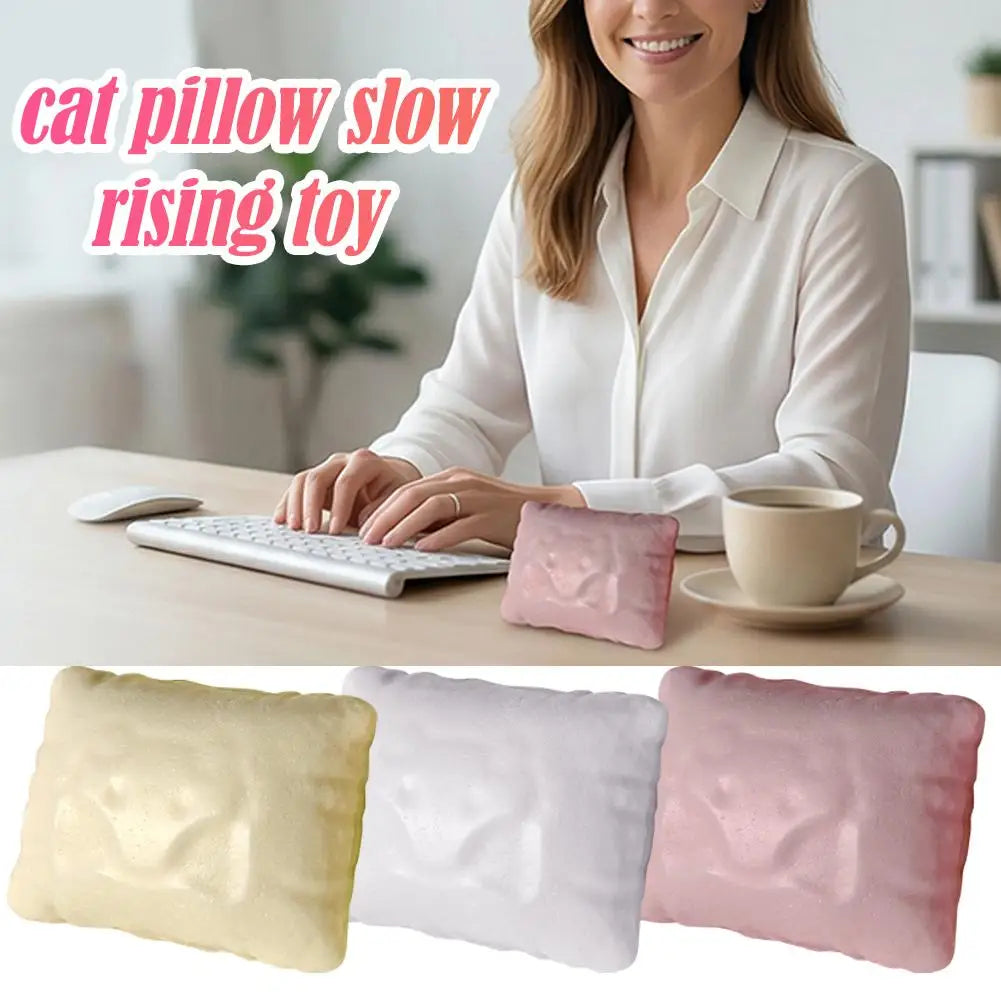 Squishy Pillow Squeeze Toy – Slow Rising Sensory Fidget for Kids Squishy Fidget Toy Richie's