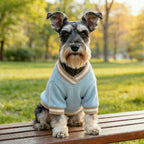 Denim Dog & Cat Baseball Shirt – Breathable Sports Vest Pet Apparel Richie's