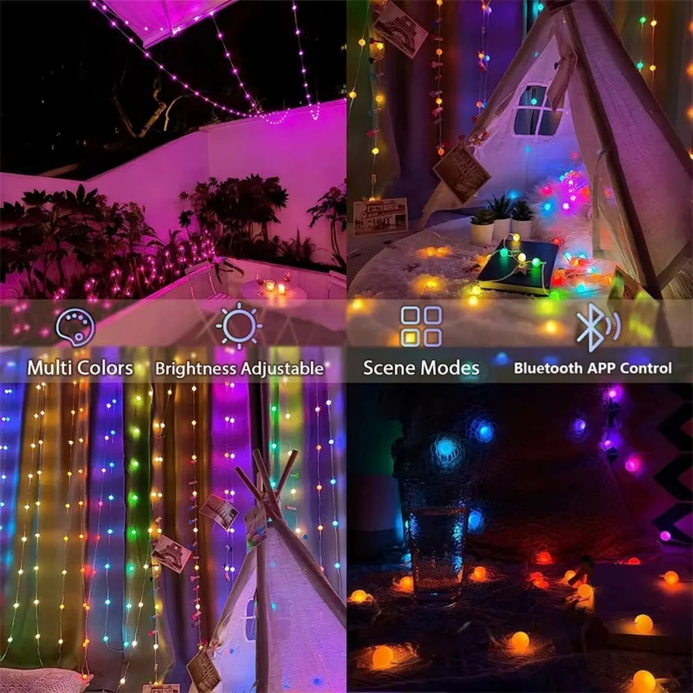Bluetooth RGBIC LED String Lights – Smart Color Changing Garden Smart LED String Lights Richie's