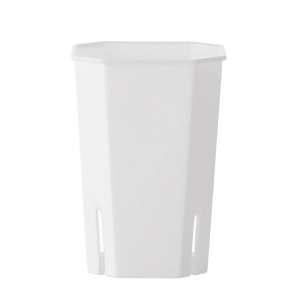 Octagonal Side-Opening Succulent Planter Pot | Desktop Flower Pot Succulent Planter Pot Richie's White-L