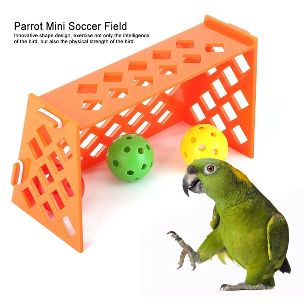 Parrot Mini Soccer Field Toy – 3 Balls | Bird Puzzle Set Bird Foraging Toy Richie's