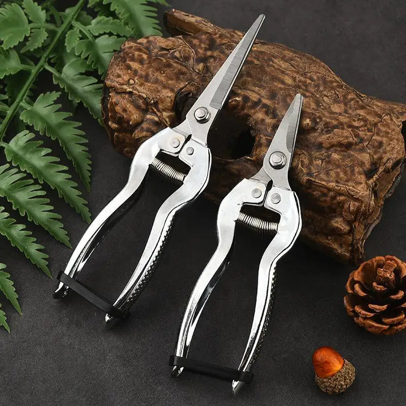 Stainless Steel Pruning Shears – Sharp Precision Garden Shears Pruning Shears Richie's