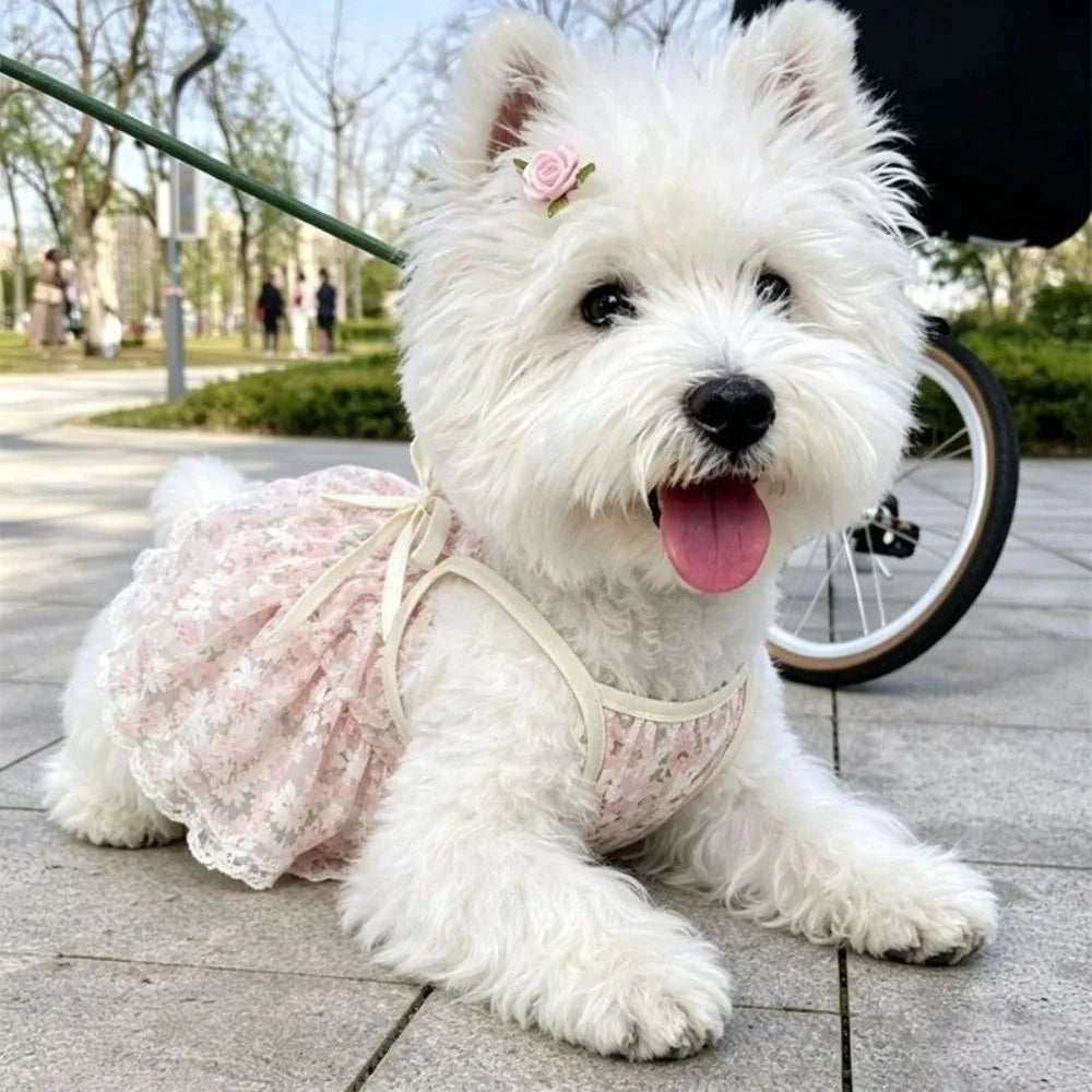 Floral Pet Princess Dress – Lightweight Dog & Cat Vest Pet Dress Richie's