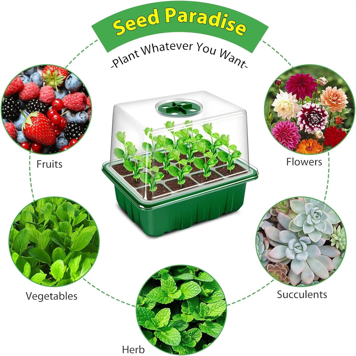 12-Cell Plastic Seedling Trays – 4/5/6 Pack Germination Grow Box Seedling Nursery Tray Richie's