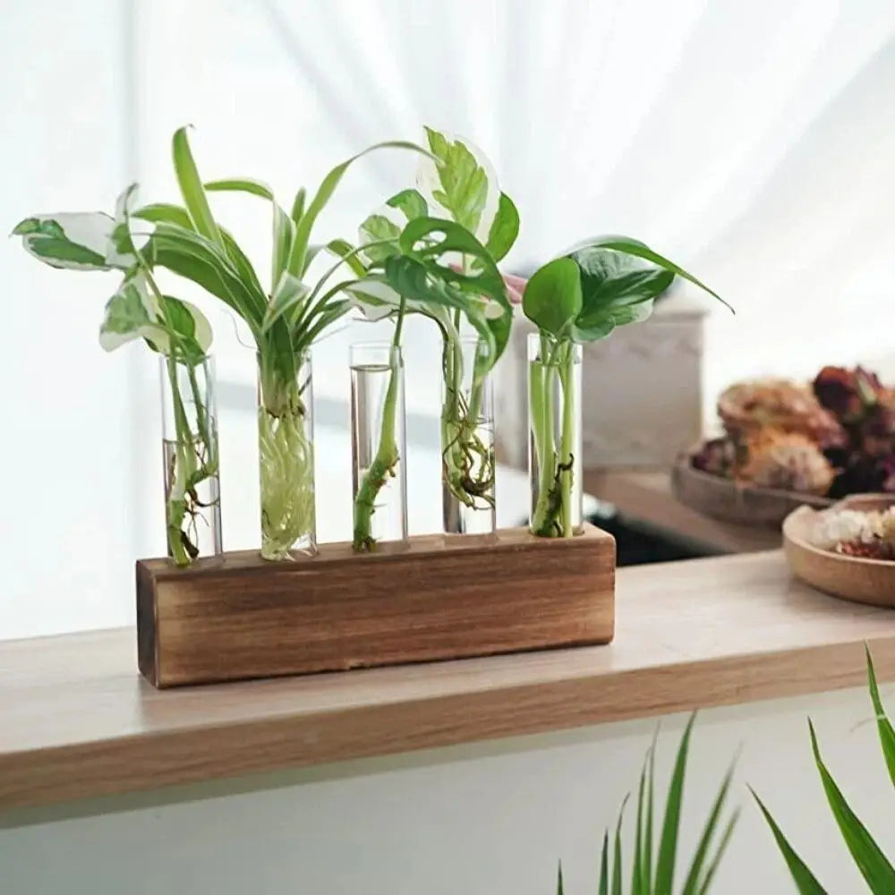 Wooden Stand Hydroponic Vase – Test Tube Minimalist Planter Hydroponic Vase Richie's