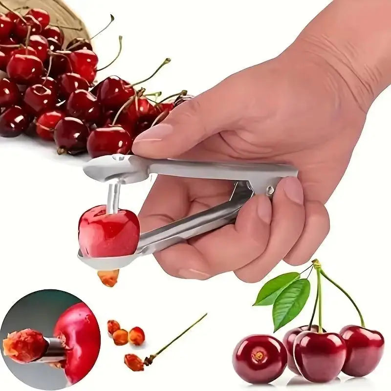 Food-Grade Stainless Steel Cherry Pitter – Quick Pitting Tool Fruit Pitting Tool Richie's