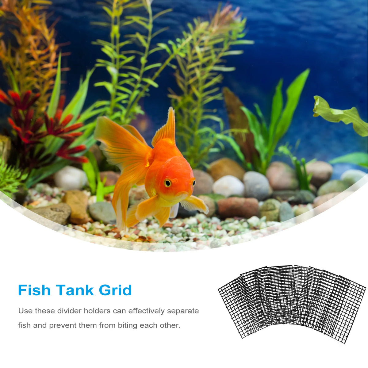 10Pcs Aquarium Grid Divider Panel – Fish Tank Separator Set Aquarium Divider Panel Richie's