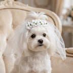 White Tulle Dog Bridal Veil – Lace Floral Pet Headdress Pet Bridal Veil Richie's
