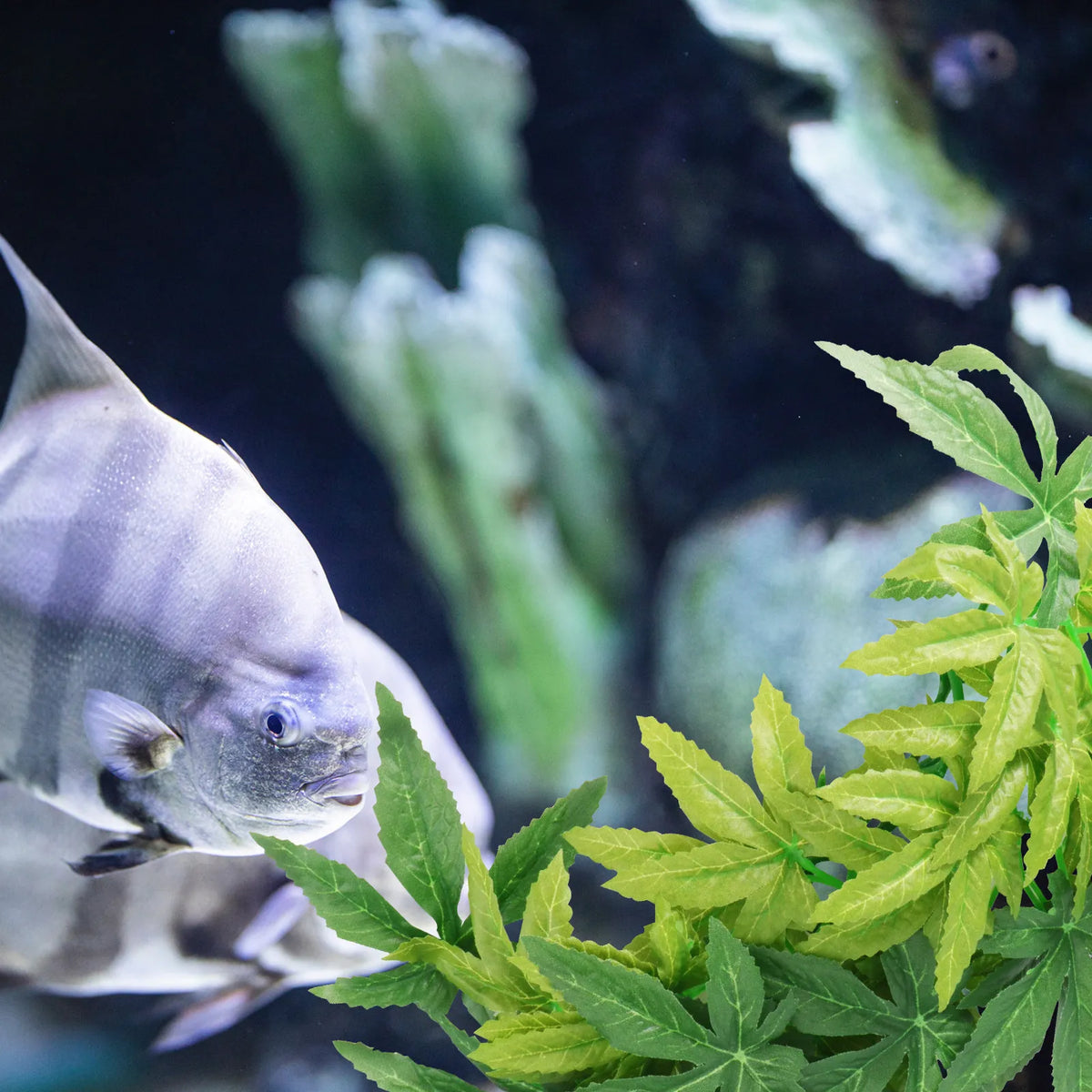 Artificial Hanging Aquatic Plant | Realistic Fish Tank Décor Aquarium Decoration Richie's Size 2