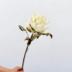 Flocked Artificial Emperor Protea Flower Large Silk Bloom 65cm Artificial Flower Richie's L-White
