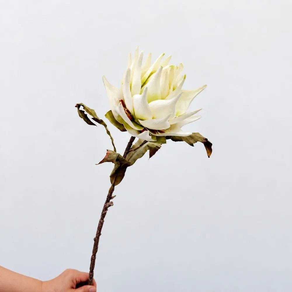 Flocked Artificial Emperor Protea Flower Large Silk Bloom 65cm Artificial Flower Richie's L-White