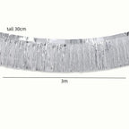 3M Metallic Foil Fringe Garland Streamer Party Backdrop Decor Party Fringe Garland Richie's Silver